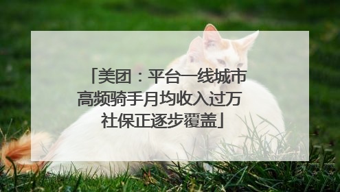 美团：平台一线城市高频骑手月均收入过万 社保正逐步覆盖