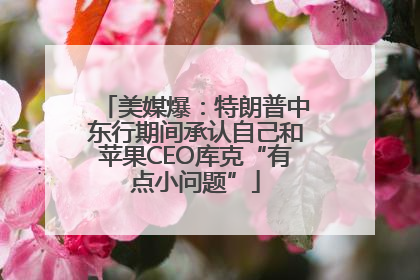 美媒爆：特朗普中东行期间承认自己和苹果CEO库克“有点小问题”