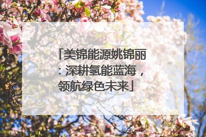 美锦能源姚锦丽：深耕氢能蓝海，领航绿色未来