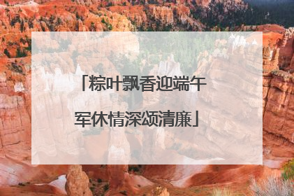 粽叶飘香迎端午 军休情深颂清廉