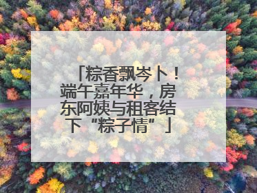 粽香飘岑卜！端午嘉年华，房东阿姨与租客结下“粽子情”