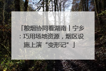 粮烟协同看湖南丨宁乡：巧用场地资源，烟区设施上演“变形记”