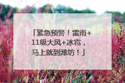 紧急预警！雷雨+11级大风+冰雹，马上就到潍坊！