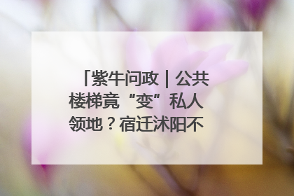 紫牛问政｜公共楼梯竟“变”私人领地？宿迁沭阳不动产登记引质疑