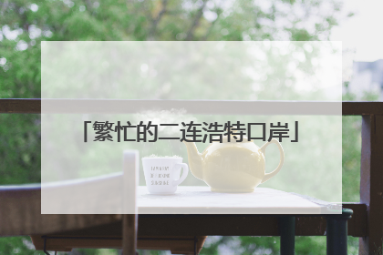 繁忙的二连浩特口岸