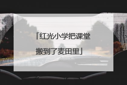 红光小学把课堂搬到了麦田里