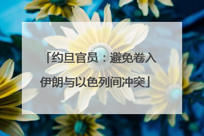 约旦官员：避免卷入伊朗与以色列间冲突
