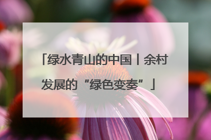 绿水青山的中国丨余村发展的“绿色变奏”