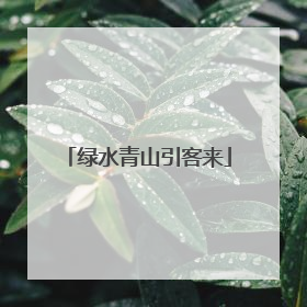 绿水青山引客来