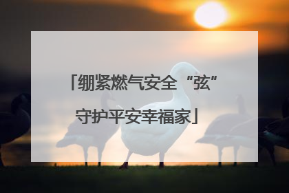 绷紧燃气安全“弦” 守护平安幸福家
