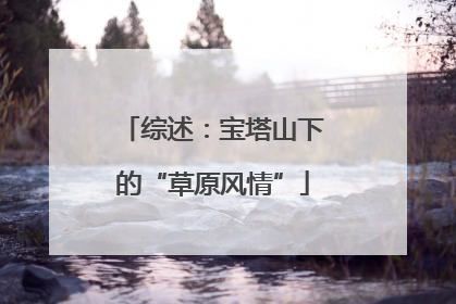综述：宝塔山下的“草原风情”