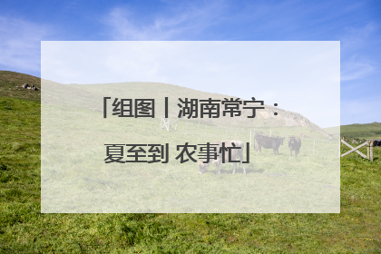 组图丨湖南常宁：夏至到 农事忙