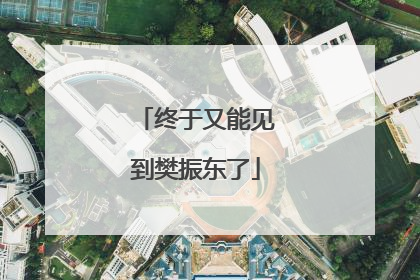 终于又能见到樊振东了