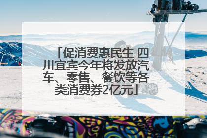 促消费惠民生 四川宜宾今年将发放汽车、零售、餐饮等各类消费券2亿元