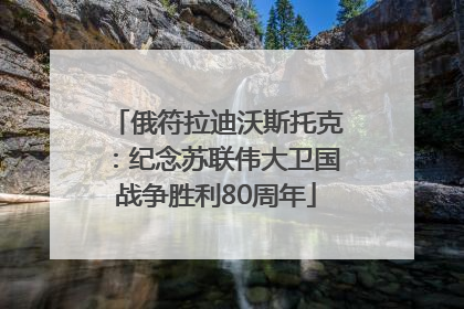 俄符拉迪沃斯托克：纪念苏联伟大卫国战争胜利80周年