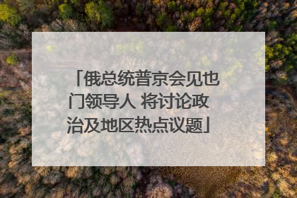 俄总统普京会见也门领导人 将讨论政治及地区热点议题