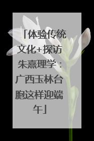 体验传统文化+探访朱熹理学：广西玉林台胞这样迎端午