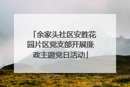 余家头社区安胜花园片区党支部开展廉政主题党日活动