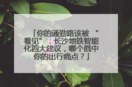 你的通勤路该被 “看见”：长沙地铁智能化四大建议，哪个戳中你的出行痛点？
