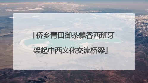 侨乡青田御茶飘香西班牙 架起中西文化交流桥梁