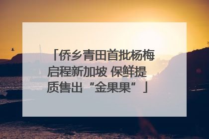 侨乡青田首批杨梅启程新加坡 保鲜提质售出“金果果”