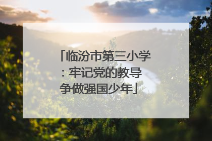 临汾市第三小学：牢记党的教导 争做强国少年