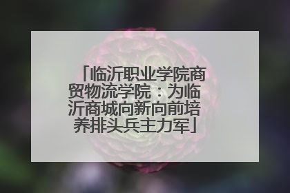 临沂职业学院商贸物流学院：为临沂商城向新向前培养排头兵主力军