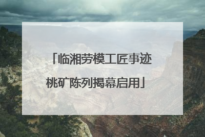 临湘劳模工匠事迹桃矿陈列揭幕启用