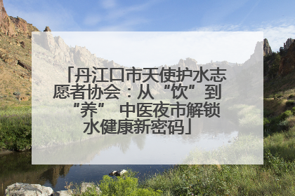 丹江口市天使护水志愿者协会：从“饮”到“养” 中医夜市解锁水健康新密码