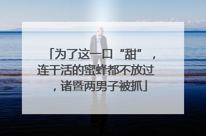 为了这一口“甜”，连干活的蜜蜂都不放过，诸暨两男子被抓