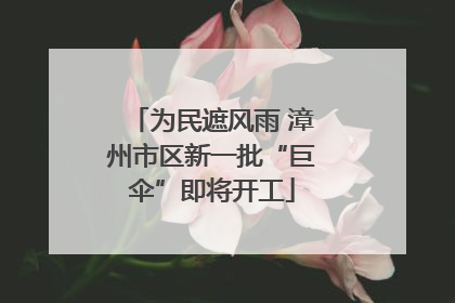 为民遮风雨 漳州市区新一批“巨伞”即将开工
