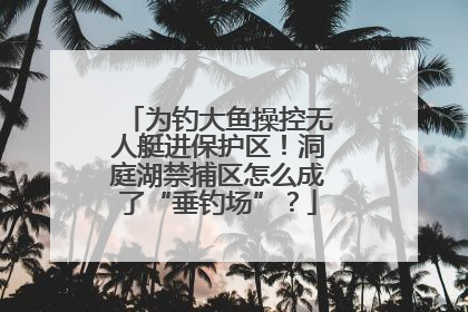 为钓大鱼操控无人艇进保护区！洞庭湖禁捕区怎么成了“垂钓场”？
