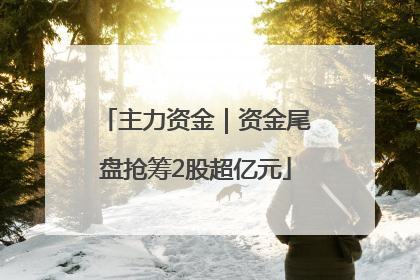 主力资金｜资金尾盘抢筹2股超亿元