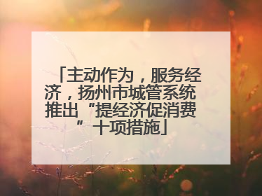 主动作为，服务经济，扬州市城管系统推出“提经济促消费”十项措施