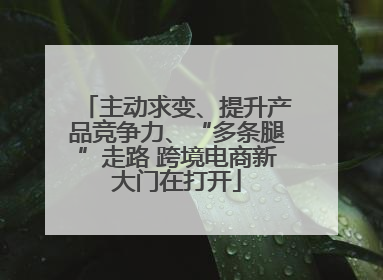 主动求变、提升产品竞争力、“多条腿”走路 跨境电商新大门在打开