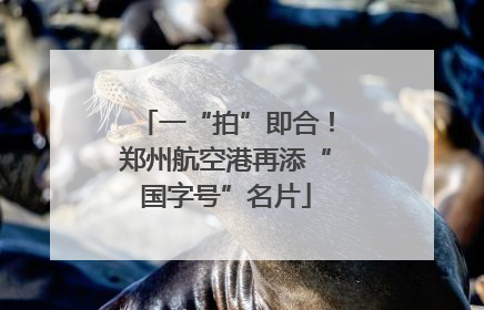 一“拍”即合！郑州航空港再添“国字号”名片