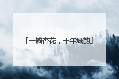 一瓣杏花，千年城韵