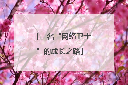 一名“网络卫士”的成长之路