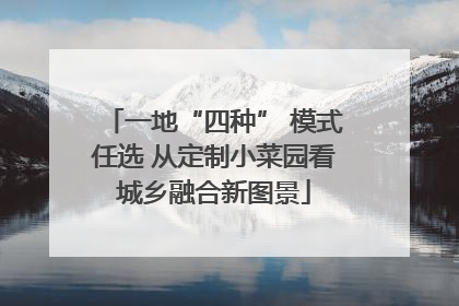 一地“四种” 模式任选 从定制小菜园看城乡融合新图景