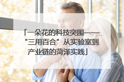 一朵花的科技突围——“三用百合”从实验室到产业链的菏泽实践