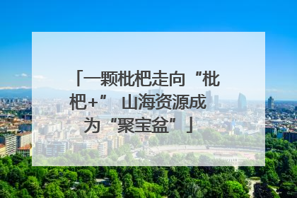 一颗枇杷走向“枇杷+” 山海资源成为“聚宝盆”