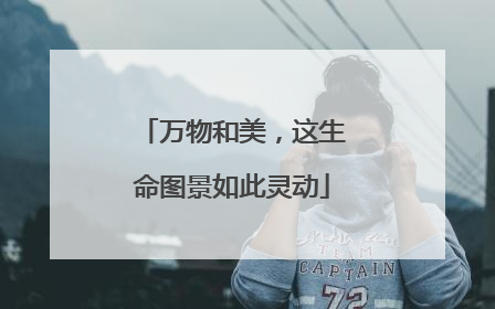 万物和美，这生命图景如此灵动