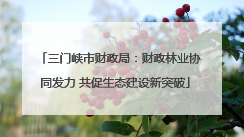 三门峡市财政局：财政林业协同发力 共促生态建设新突破