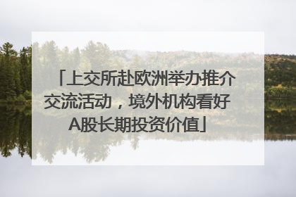 上交所赴欧洲举办推介交流活动，境外机构看好A股长期投资价值