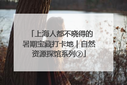 上海人都不晓得的 暑期宝藏打卡地｜自然资源探馆系列②