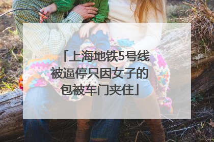 上海地铁5号线被逼停只因女子的包被车门夹住