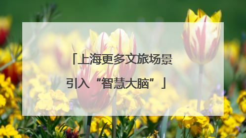 上海更多文旅场景引入“智慧大脑”