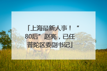 上海最新人事！“80后”赵亮，已任普陀区委副书记