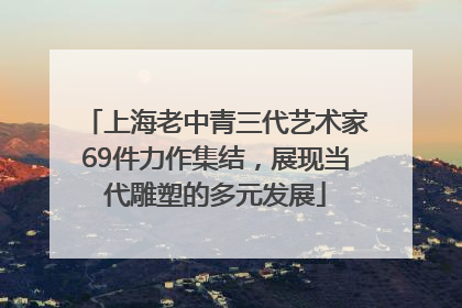 上海老中青三代艺术家69件力作集结，展现当代雕塑的多元发展