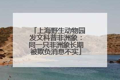 上海野生动物园发文科普非洲象：同一只非洲象长期被欺负消息不实